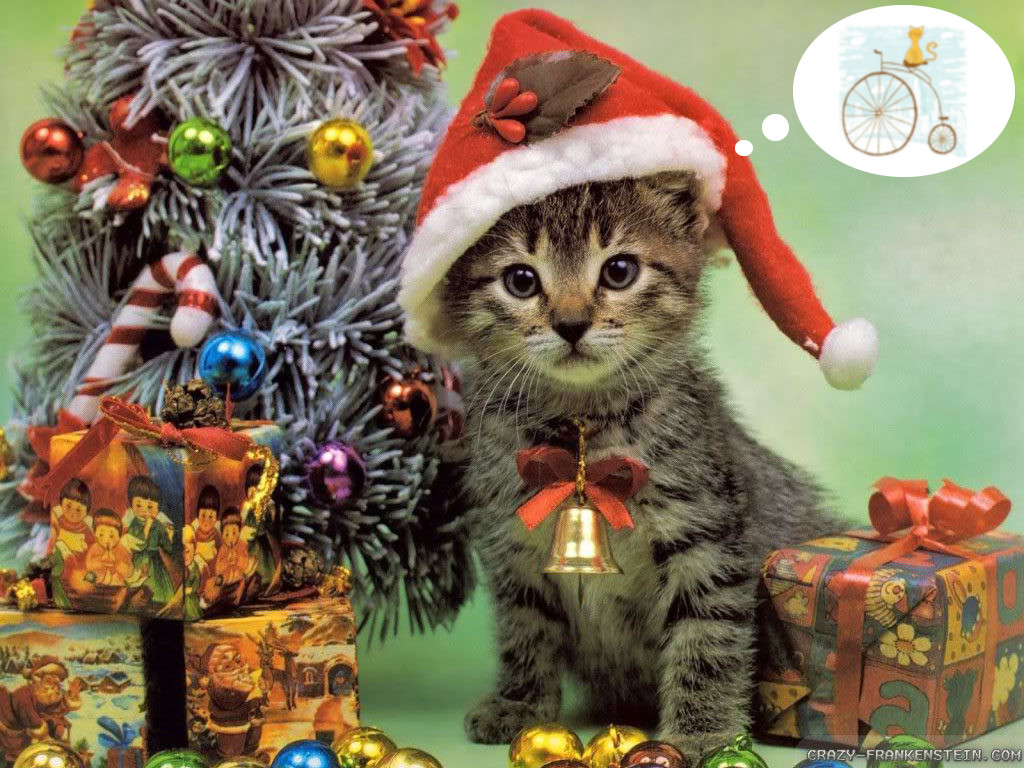 Fermeture de fin d'année