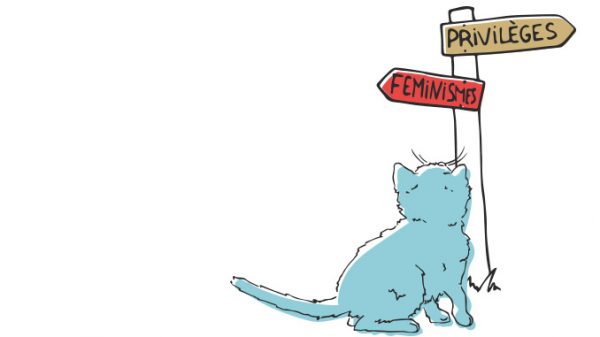 Chaton devant un panneau indiquant tantôt le chemin vers les féminismes et les privilièges