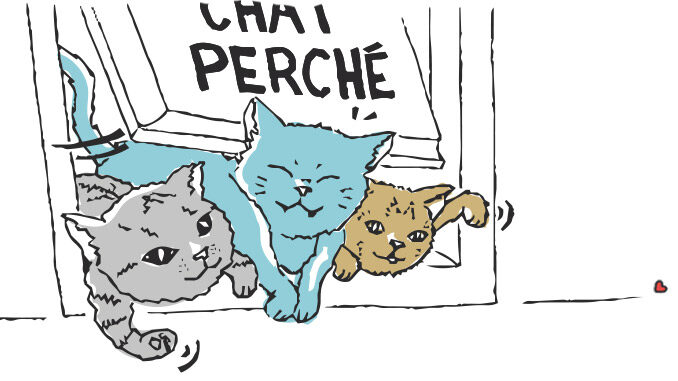 Trois chatons essayant de rentrer en même temps par la chattière de l'atelier