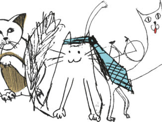 dessins de chats fait par des benevoles : Marie Camille et Lou