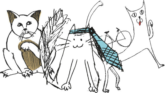dessins de chats fait par des benevoles : Marie Camille et Lou
