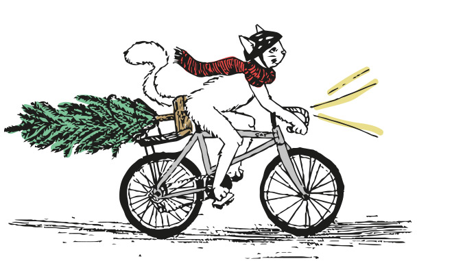 chat heureux sur un vélo avec un sapin sur le porte bagage
