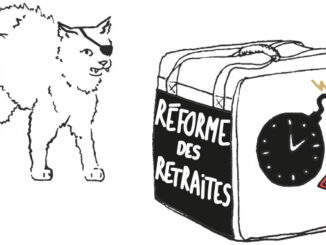 Chat qui fait le dos rond devant la réforme des retraites