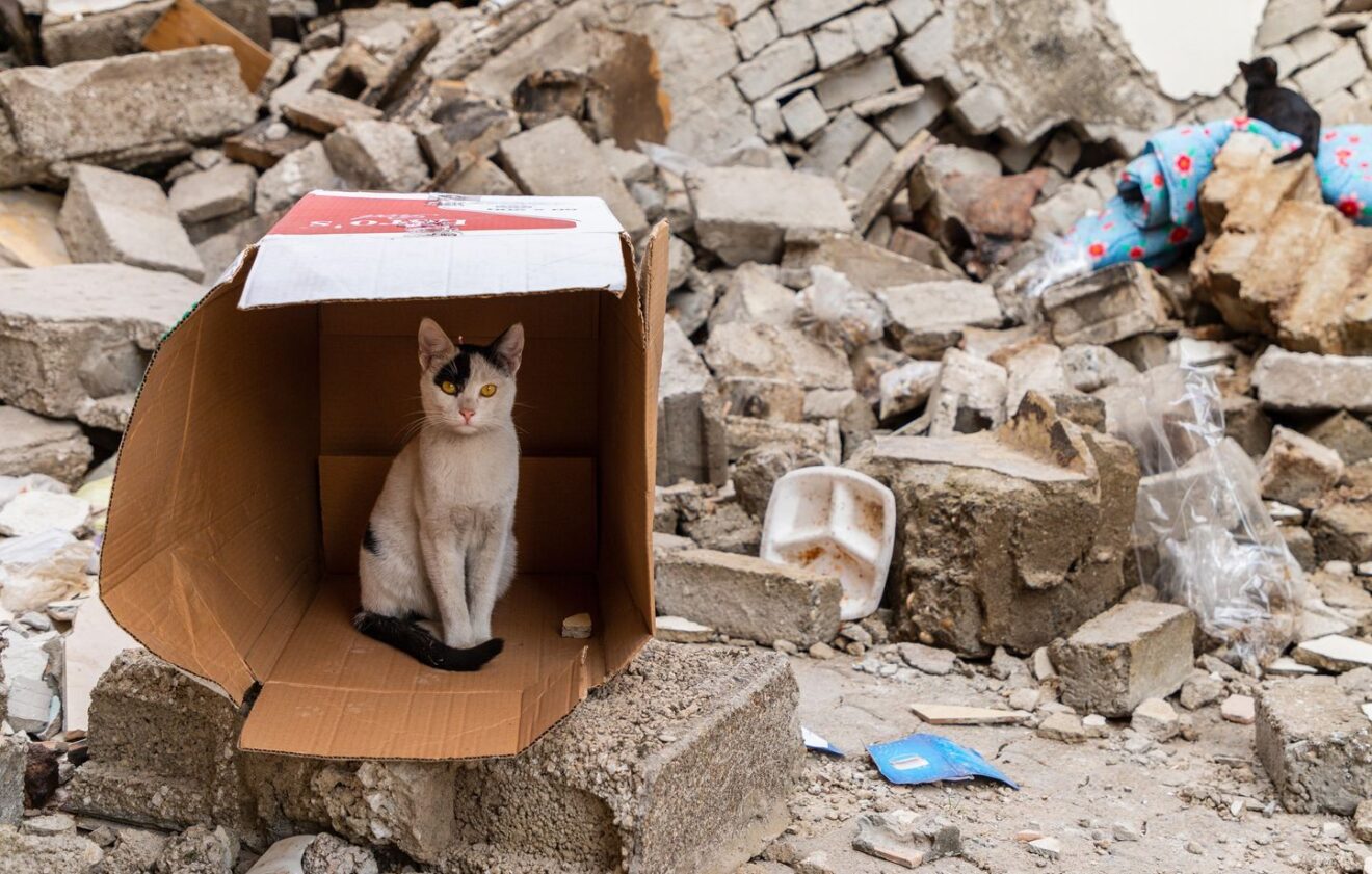 Fermeture temporaire et contrainte de l'atelier jusqu'au 19 mai !