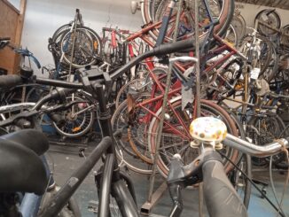 Stock de vélos actuel du Chat Perché à Reinach