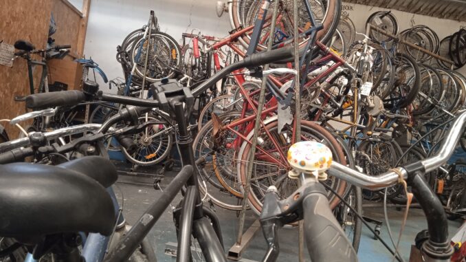 Stock de vélos Stock de vélos actuel du Chat Perché à Reinach