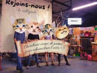 Quatre admins à têtes de chat tiennent une affiche où il est écrit "Cherchons coups de pattes pour administrer l'asso