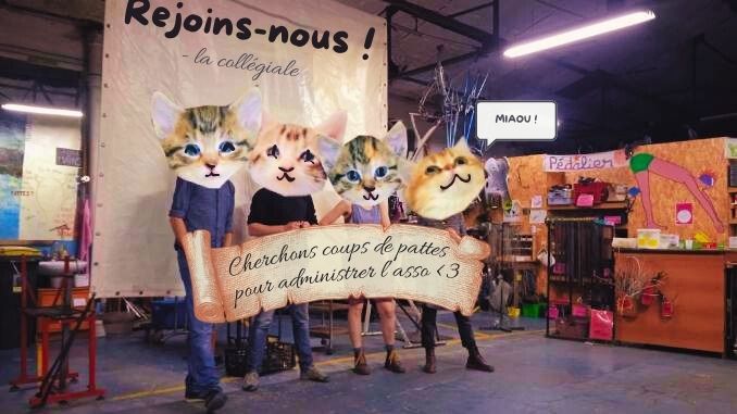 Quatre admins à têtes de chat tiennent une affiche où il est écrit "Cherchons coups de pattes pour administrer l'asso