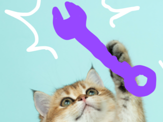 Chat triomphant qui tient une clé mixte