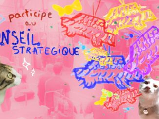 Des chats, des pinatas (une seule en vrai) et un conseil stratégique !!