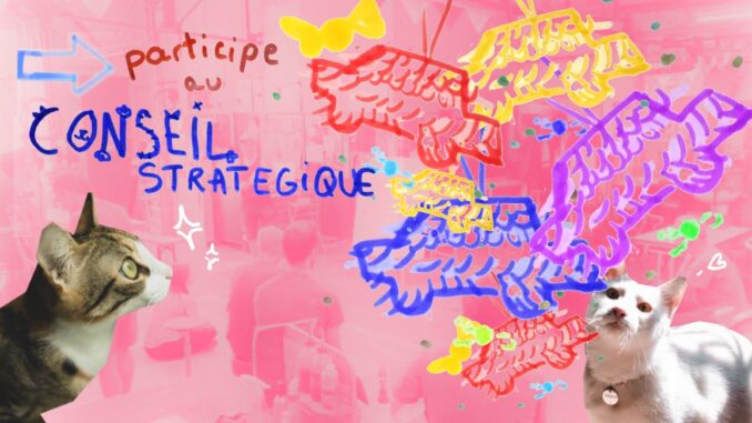 Des chats, des pinatas (une seule en vrai) et un conseil stratégique !!